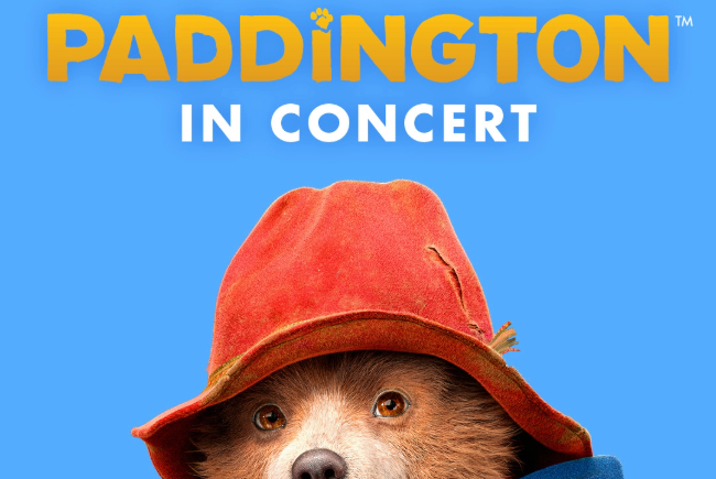 Image of Paddington Bear on a blue background